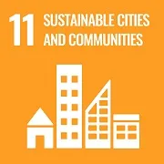 SDG 11