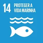 Vida marinha