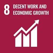 SDG 8