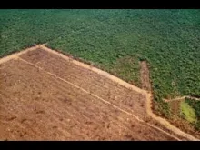 Embedded thumbnail for Cerrado region in Brazil is in danger