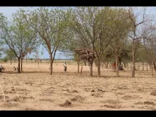 Embedded thumbnail for The fight against the advance of the desert in the Extreme North region of Cameroon.
