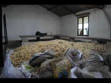 Embedded thumbnail for An entrepreneur in Agro-processing.  EFR- Mozambique 