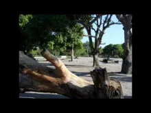 Embedded thumbnail for Visites aux familles dans les Écoles Familiales Rurales au Mozambique 